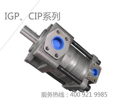 IGP,CIP系列中压泵